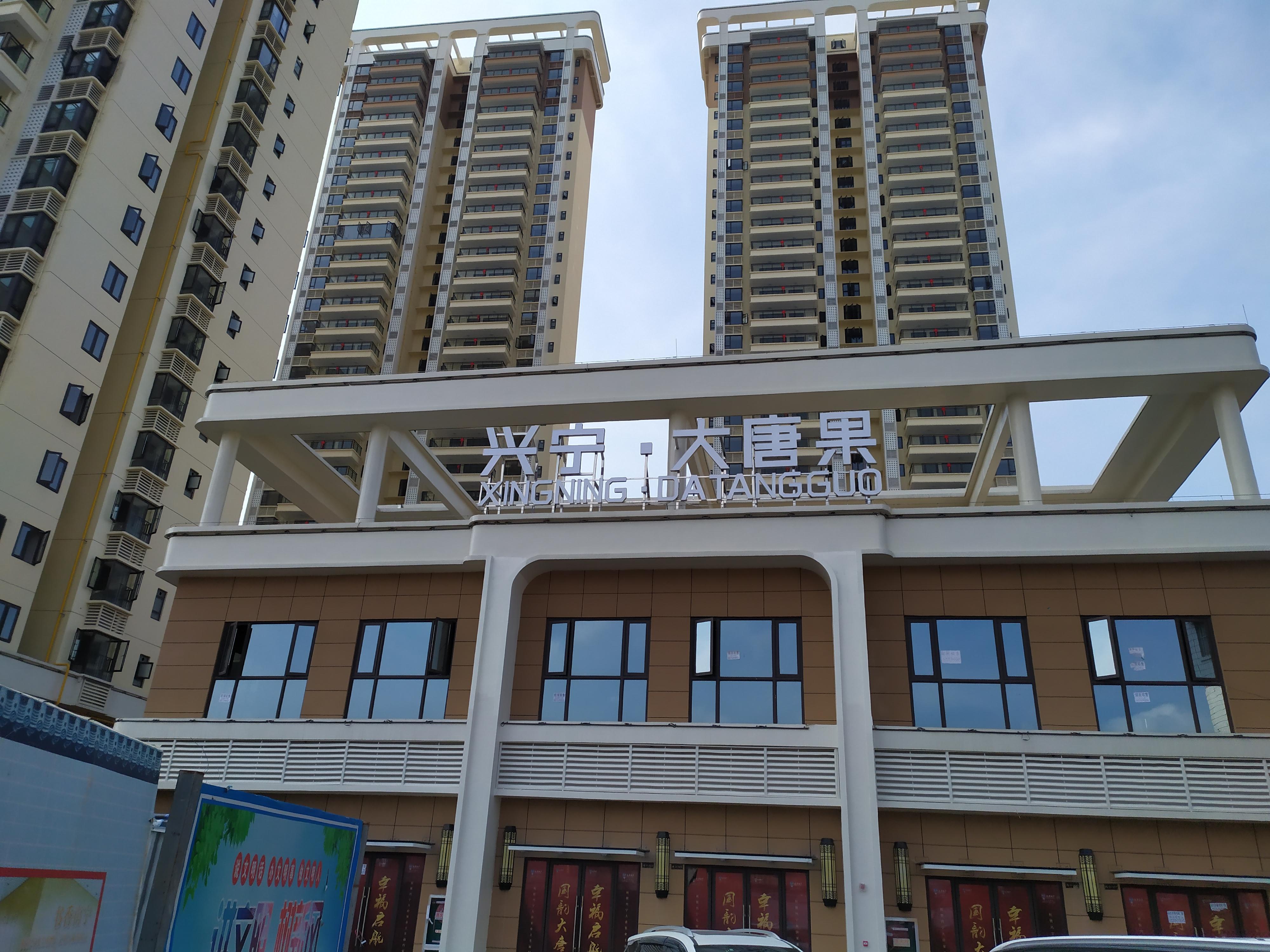 廣(guang)西南(nan)寧(ning)興寧(ning)大(da)唐果